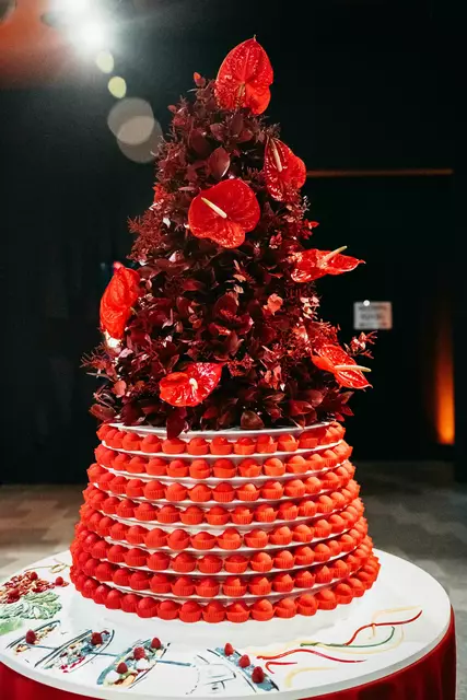 Foto: Matic Kremžar