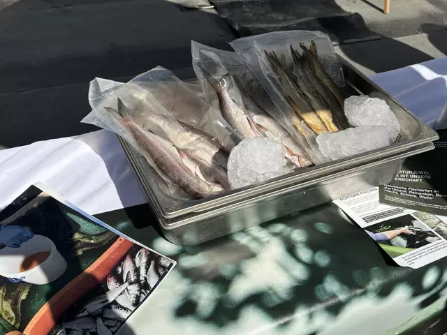 Foto: Kevin Gleichweit/MeinBezirk