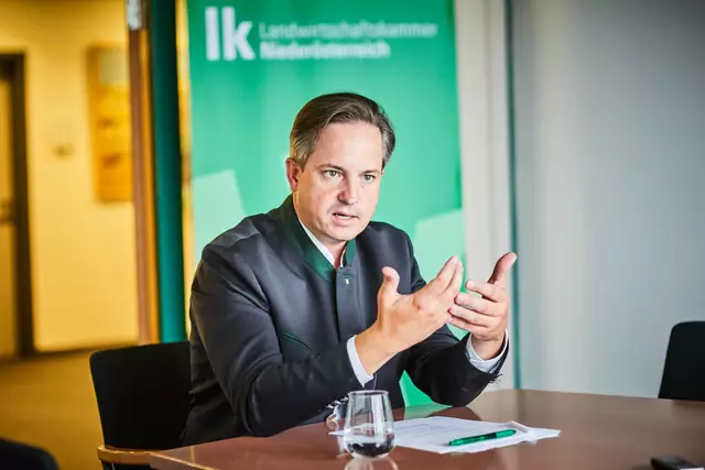 Bei der konstituierenden Vollversammlung in St. Pölten wurde Schmuckenschlager erneut ins Amt gewählt. | Foto: LK NÖ/Franz Gleiß