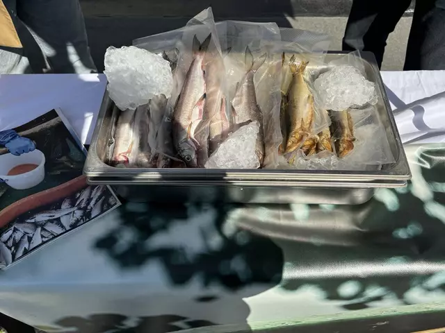 Foto: Kevin Gleichweit/MeinBezirk