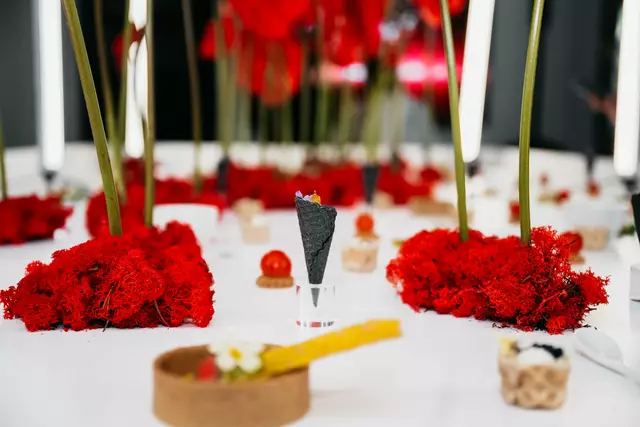 Foto: Matic Kremžar