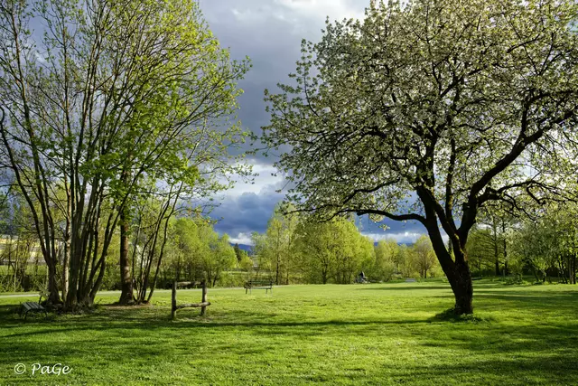 Der Glanpark in Klagenfurt.