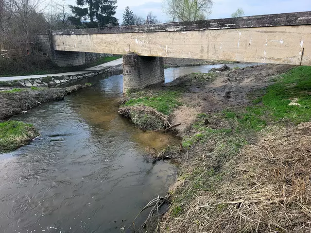 Ohne regelmäßige Sedimentreduktion würde  unter der historischen Schleppbahnbrücke sukzessive ein Damm entstehen. | Foto: Eckhart Herbe