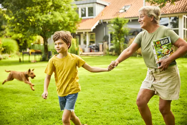Lücken im Rasen, sofern vorhanden, müssen ab einer Größe, die der Größe einer erwachsenen Handfläche entspricht, unbedingt nachgesät werden.  | Foto: Compo