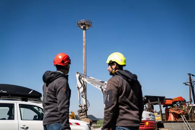 Hier in Holzhausen wurde das Ersatznest für die Störche errichtet. | Foto: Salzburg Netz GmbH