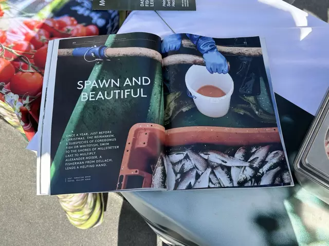 Foto: Kevin Gleichweit/MeinBezirk