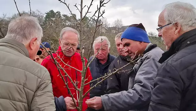 Der Seniorenbund Neumarkt startete mit einem Baumschneidekurs in die Gartensaison. | Foto: SB Neumarkt