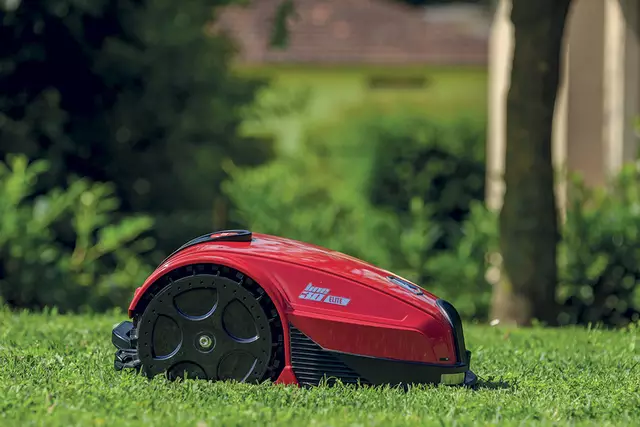 Mähroboter im Einsatz bedeutet oftmals Gefahr für Igel und Co. (Archiv) | Foto: EP:Poth