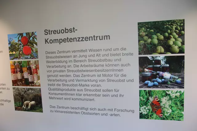 Foto: Martin Wurglits