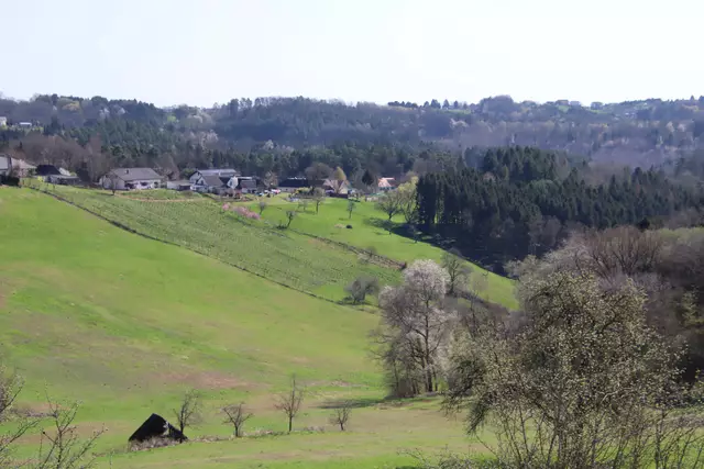 Foto: Martin Wurglits