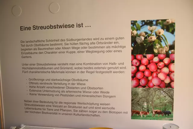 Foto: Martin Wurglits