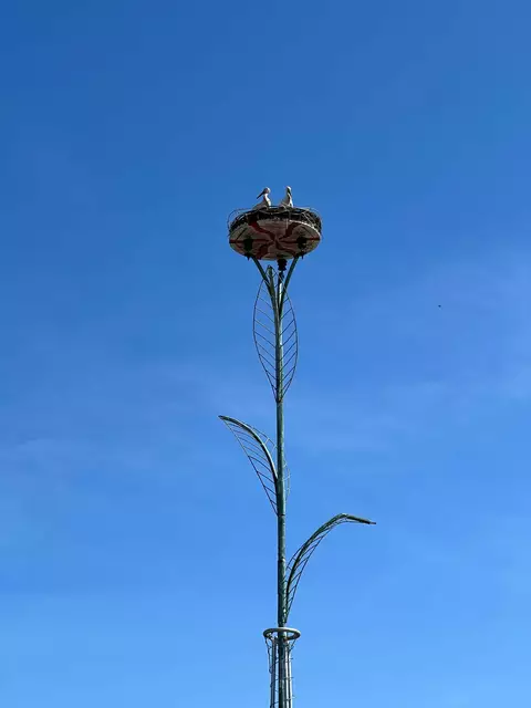 Ganz Tainach ist außer sich. | Foto: Privat/Dissauer