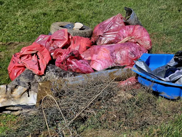 Mit Handschuhen, Müllsäcken und unermüdlichem Einsatz wurden Plastikteile, Dosen und andere Abfälle gesammelt. | Foto: Steiermärkische Berg- und Naturwacht