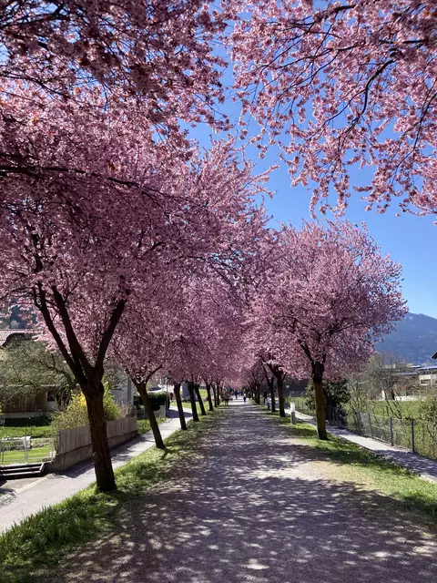 Foto: Elisabeth Zangerl