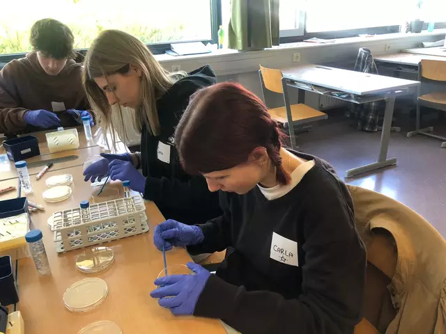 Schüler:innen des BG Vöcklabruck untersuchen ihre Proben. | Foto: Forschungsinstitut für Limnologie