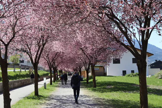 Foto: Elisabeth Zangerl