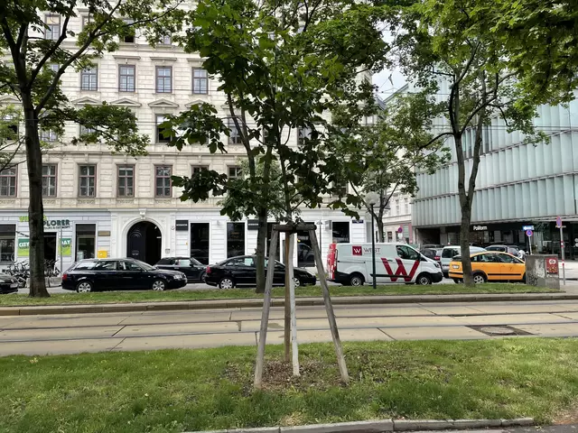 Die Innere Stadt soll endlich verkehrsberuhigt werden. | Foto: Niklas Varga