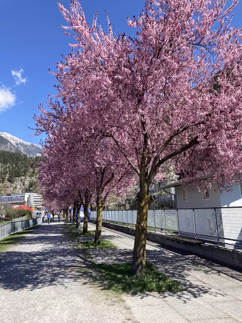 Foto: Elisabeth Zangerl