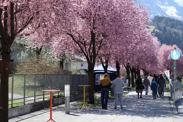 Foto: Elisabeth Zangerl