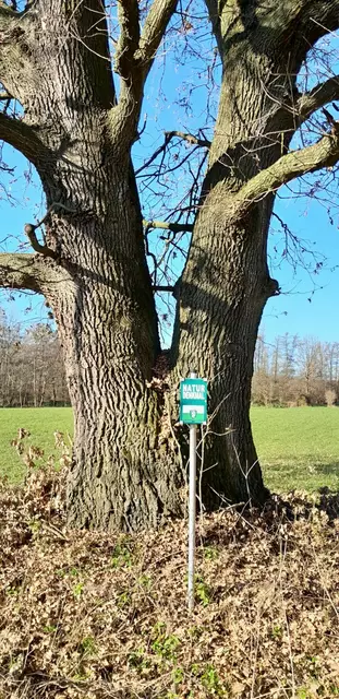 Auch die Überprüfung von Naturdenkmälern zählt zum Einsatzgebiet der Berg- und Naturwacht. | Foto: Berg- und Naturwacht Stmk.