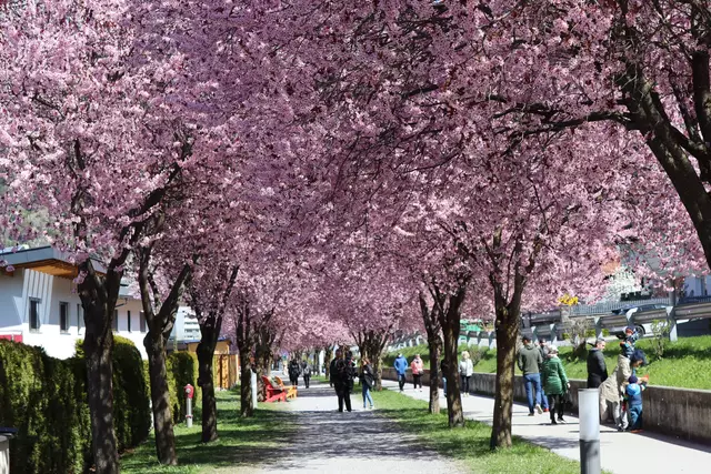 Foto: Elisabeth Zangerl