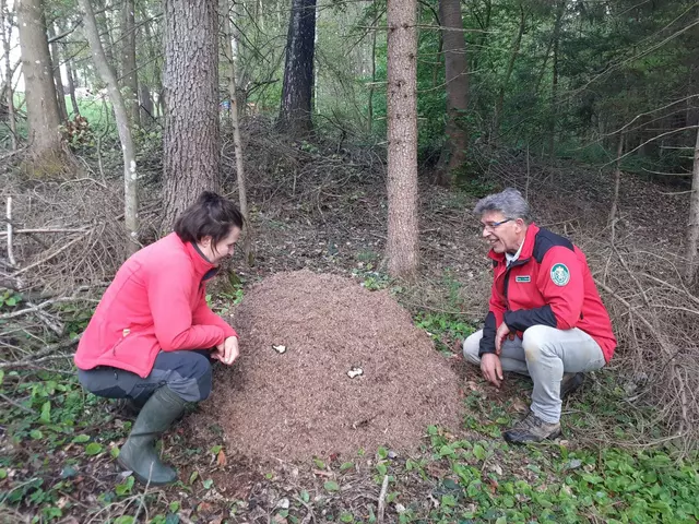 Ob bei der Überprüfung von Naturdenkmälern, der Versetzung von Ameisenhäufen oder im Einsatz für geschützte Pflanzenarten: Die Tätigkeiten der Berg- und Naturwacht sind so vielfältig wie die Natur selbst.
 | Foto: Berg- und Naturwacht Stmk.