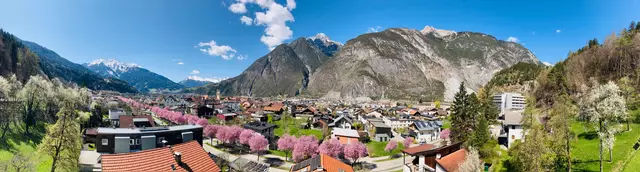 Die Prachtallee in Zams, der das Zammer Blütenfest zu verdanken ist.  | Foto: Elisabeth Zangerl