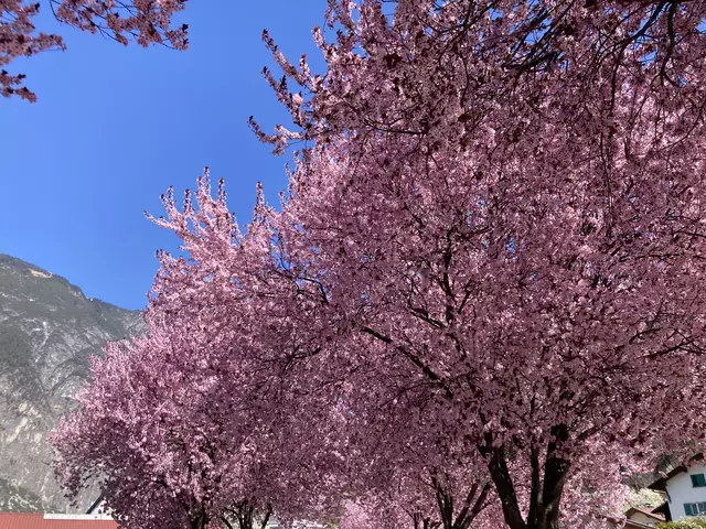 Foto: Elisabeth Zangerl