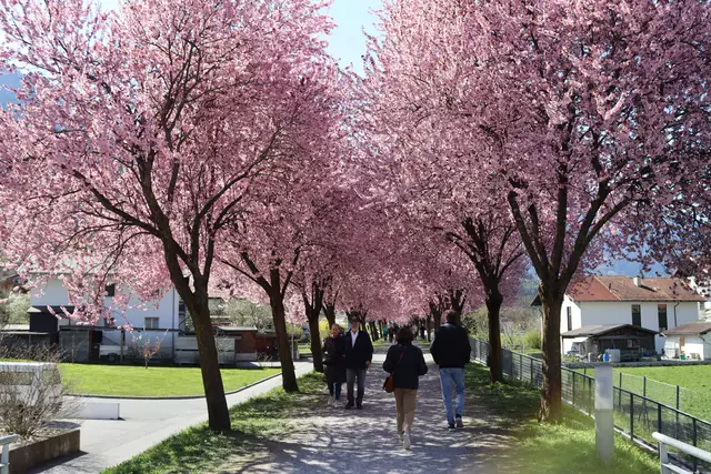 Foto: Elisabeth Zangerl