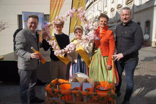 Stadtmarketing-Chef Horst Berger, Marillen-Prinzenpaar Ludwig und Antonia, Marillenbäuerin Gerti Tastl und Stadtchef Peter Molnar eröffneten den Marillenblütenmarkt 2025.