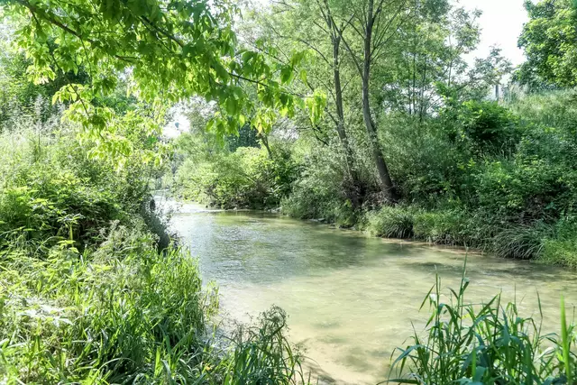 Rund 150 Diesel-Öl wurde im Liesingbach in Wien gefunden. Die Polizei konnte den Verantwortlichen ausfindig machen.  | Foto: PID/Christian Fürthner