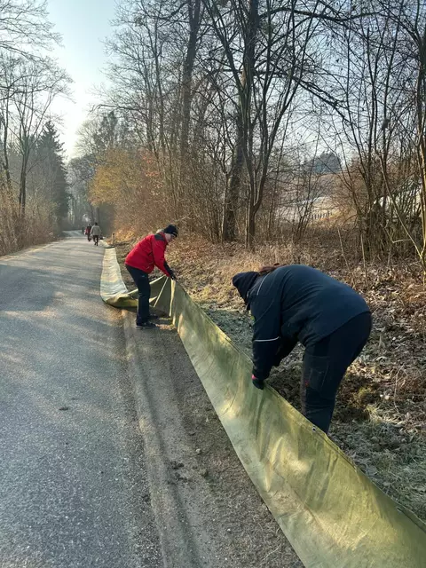 Besunders beim Amphibienschutz werden jedes Jahr im Frühling freiwillige HelferInnen und Helfer gesucht. | Foto: Berg- und Naturwacht Stmk.