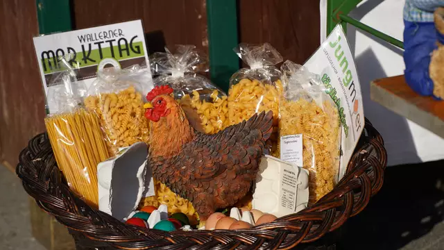 Foto: Marktgemeinde Wallern/Tr.