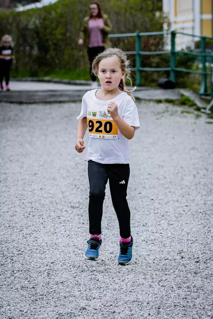 Foto: 38. Payerbacher Frühlingslauf