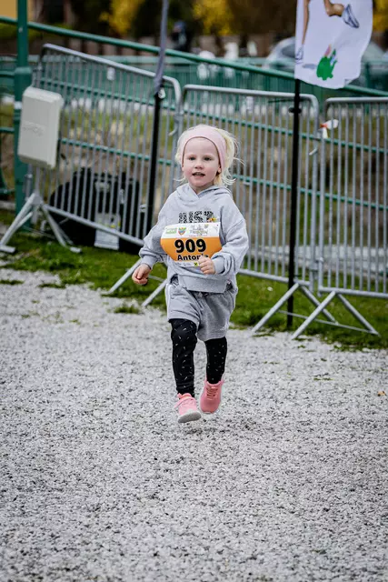Foto: 38. Payerbacher Frühlingslauf