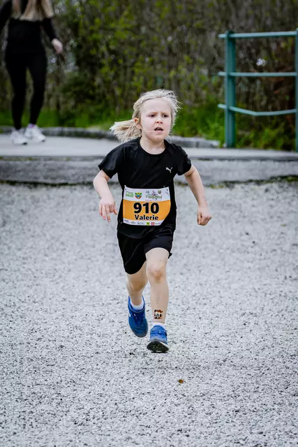 Foto: 38. Payerbacher Frühlingslauf