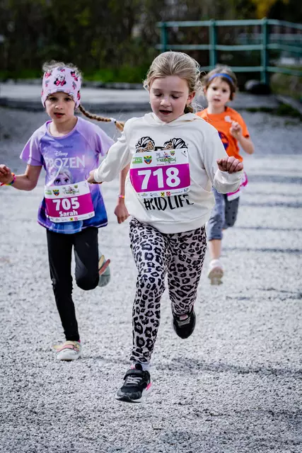 Foto: 38. Payerbacher Frühlingslauf