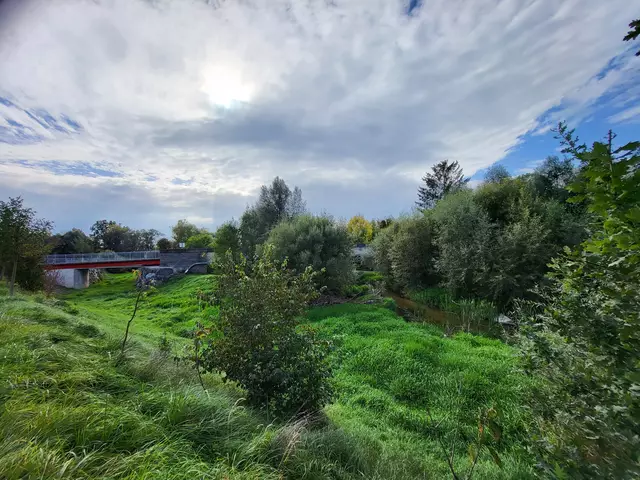 Im Sommer 2024 waren hier zwei Drittel des Flussbettes bereits vom Wasserlauf abgetrennt, ebenso der Bypass. | Foto: Eckhart Herbe