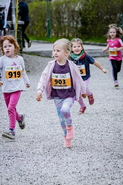 Foto: 38. Payerbacher Frühlingslauf