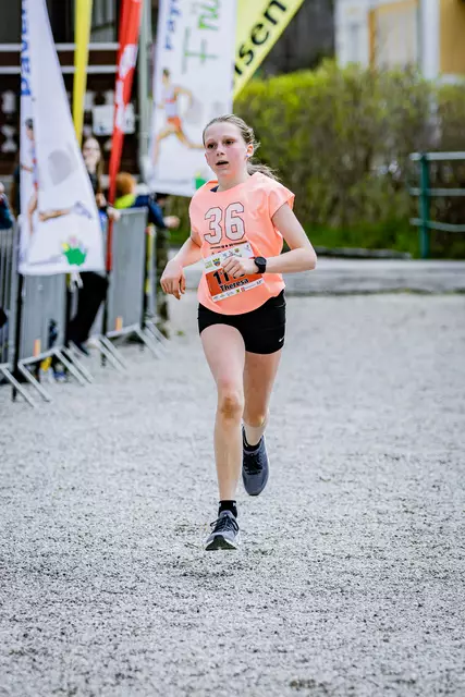 Foto: 38. Payerbacher Frühlingslauf