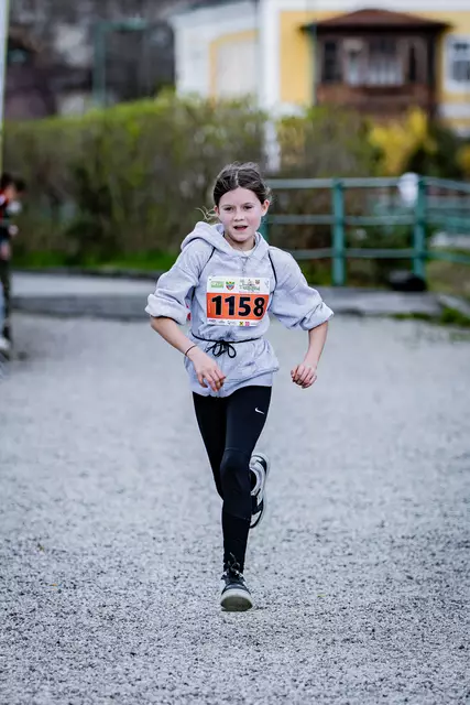 Foto: 38. Payerbacher Frühlingslauf