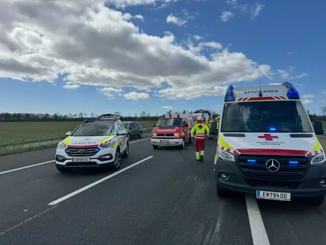 Alle Insassen haben laut Landessicherheitszentrale nur leichte Blessuren erlitten. | Foto: FF Mattersburg