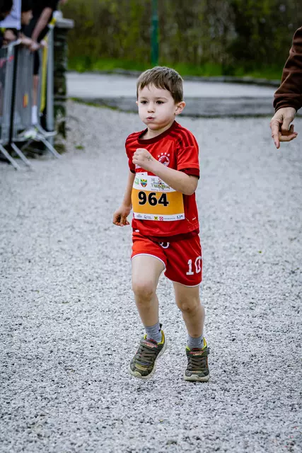 Foto: 38. Payerbacher Frühlingslauf