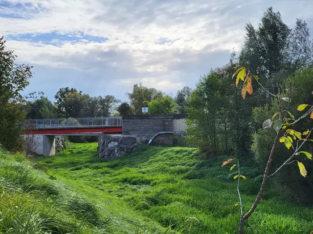 Zugewachsen und völlig vom restlich Flussbett abgetrennt: Der Bypass im Sommer 2024. | Foto: Eckhart Herbe