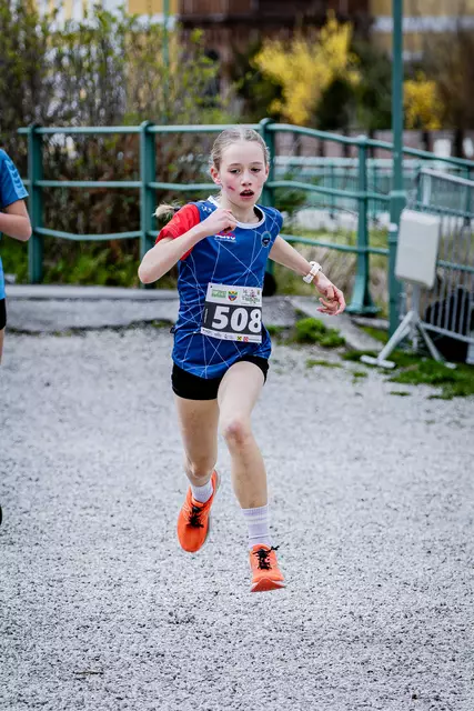 Foto: 38. Payerbacher Frühlingslauf