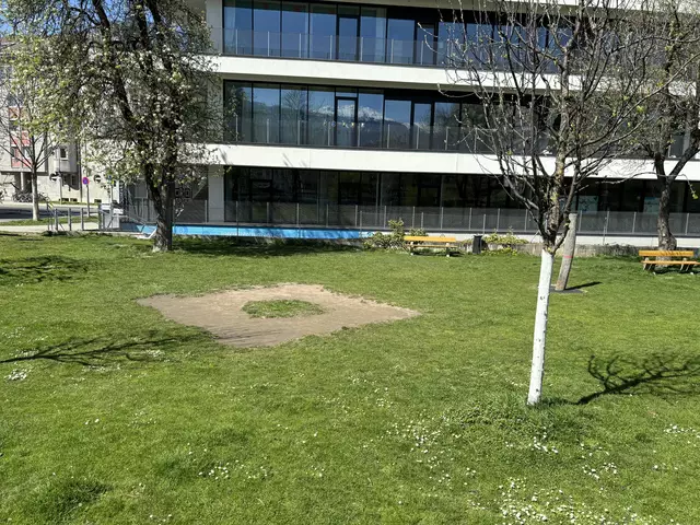 Trotz Schäden wie diesen, sieht man keinen konkreten Handlungsbedarf. Doch aufgrund von Beschwerden wird die mobile Überwachungsgruppe die Park- und Spielanlagen hinsichtlich Spikeball Nutzung einer verstärkten Kontrolle unterziehen. | Foto: Königer