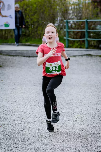 Foto: 38. Payerbacher Frühlingslauf