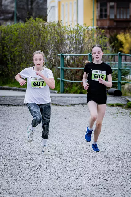 Foto: 38. Payerbacher Frühlingslauf
