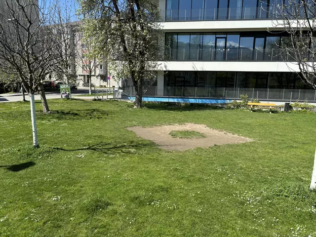 Wer solche Flecken, wie hier im Slackline Park der Uni Innsbruck entdeckt, kann sich denken, dass hier intensiv Spikeball gespielt wurde. | Foto: Königer