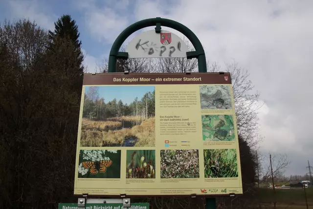 Informationstafel beim Eingang ins Koppler Moor.